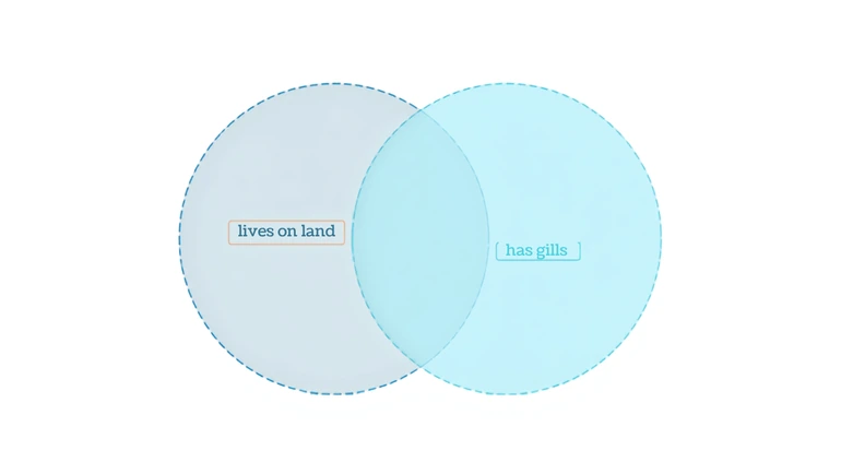 Venn diagram generator workflow showing trait labels being sorted into overlapping circles